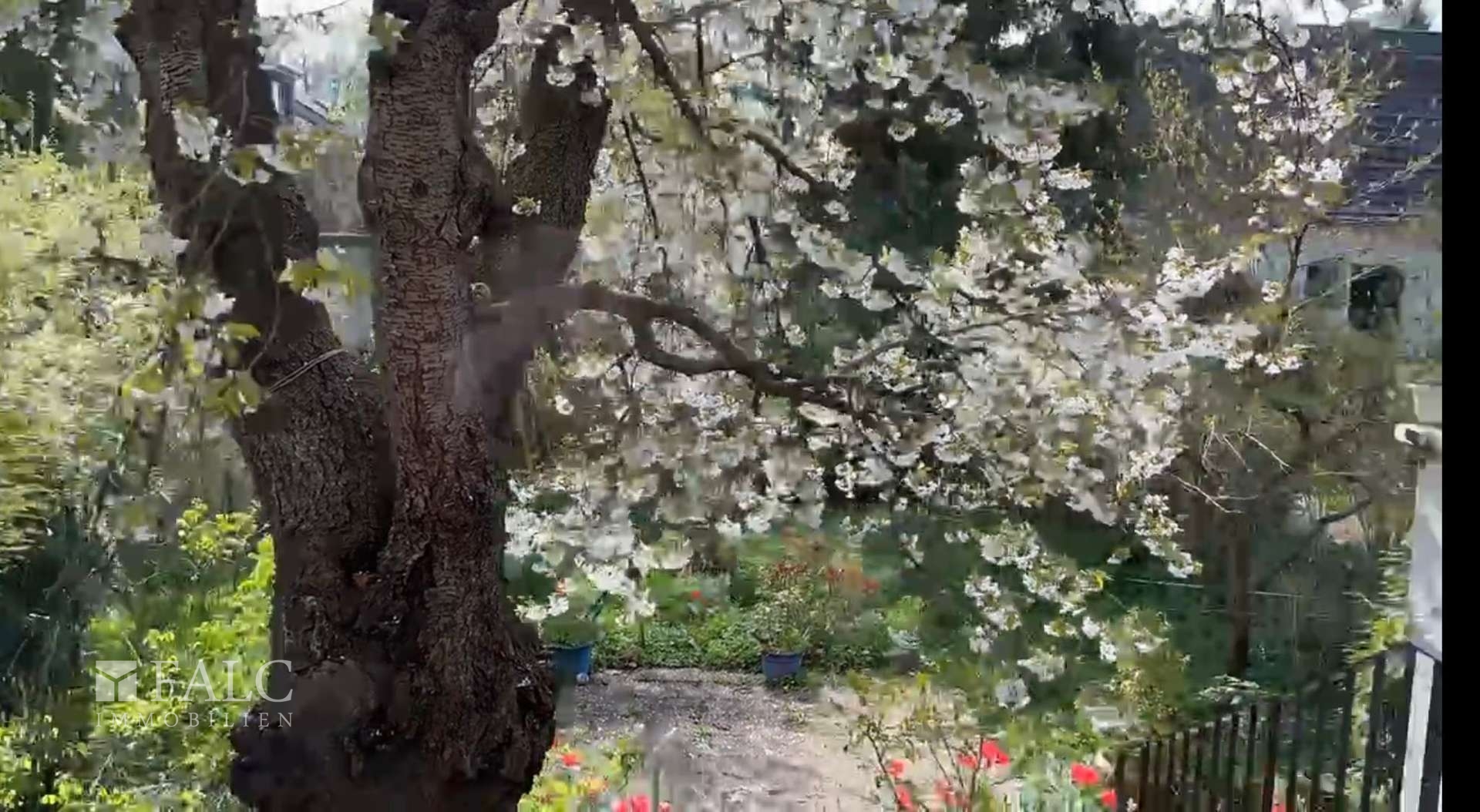 Garten-Impression